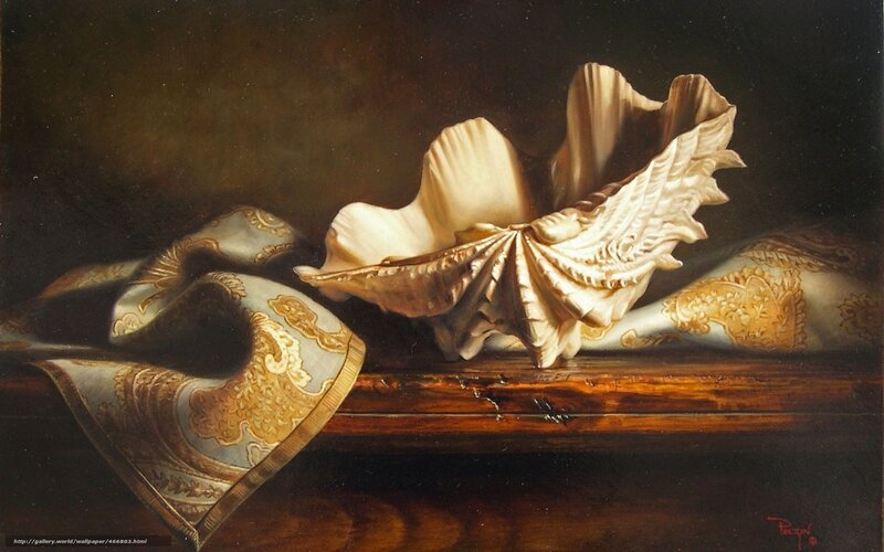 Seashell on patterned cloth
