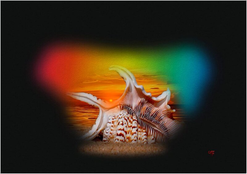 Seashell on Sand — Black, Dramatic
