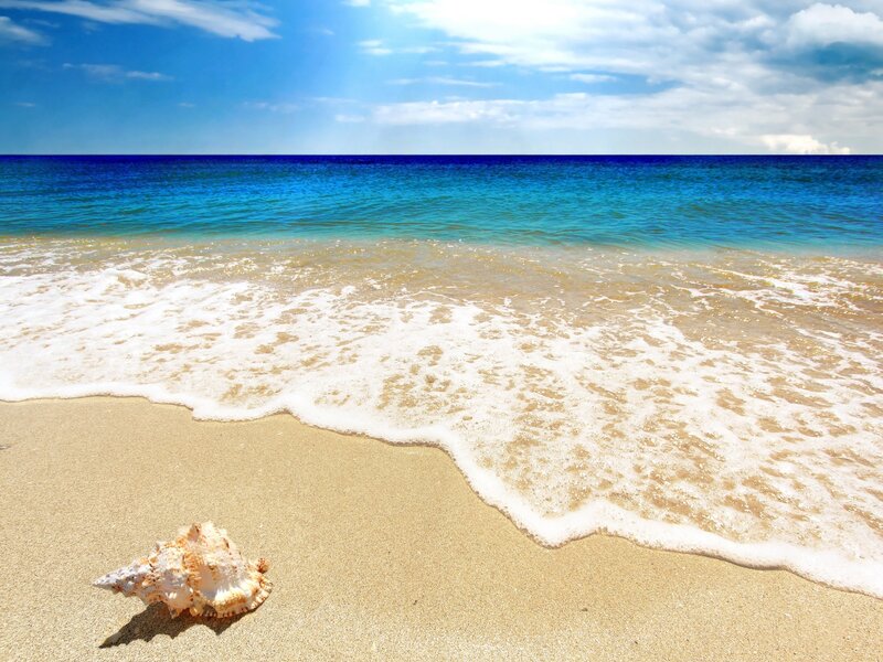 Seashell on Sandy Beach — Blue, Serene