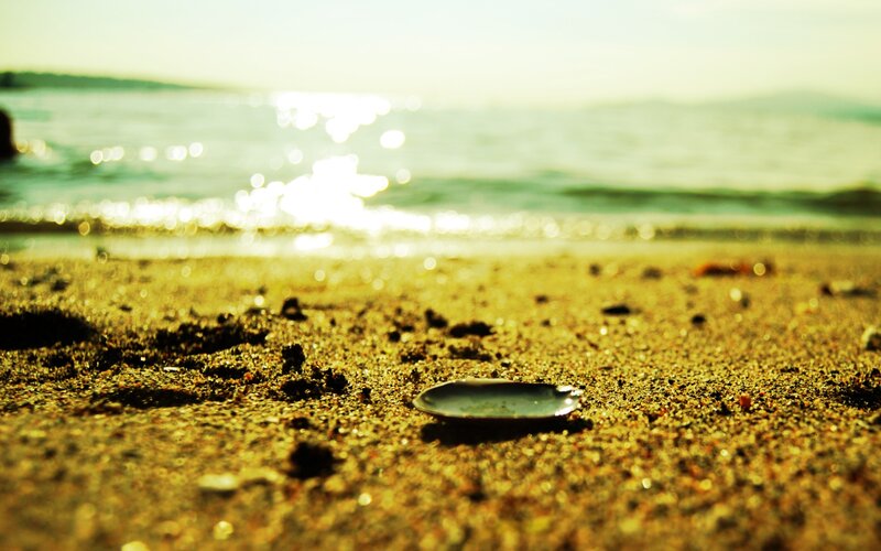 Seashell on Sandy Beach — Yellow