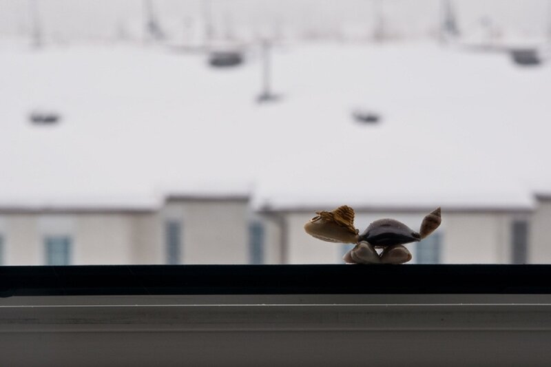 Seashell Turtle Figurine