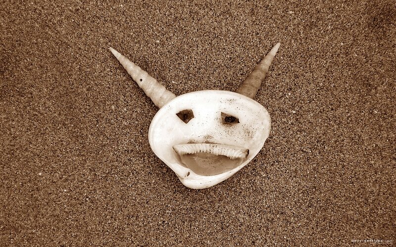 seashell with horns on sand
