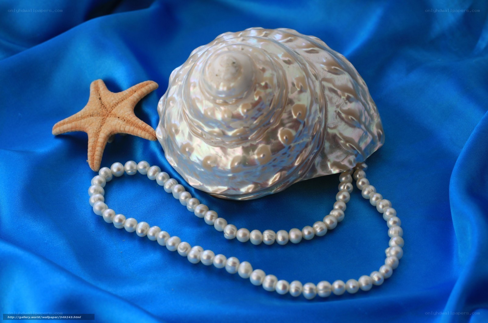 Seashell with pearls and starfish