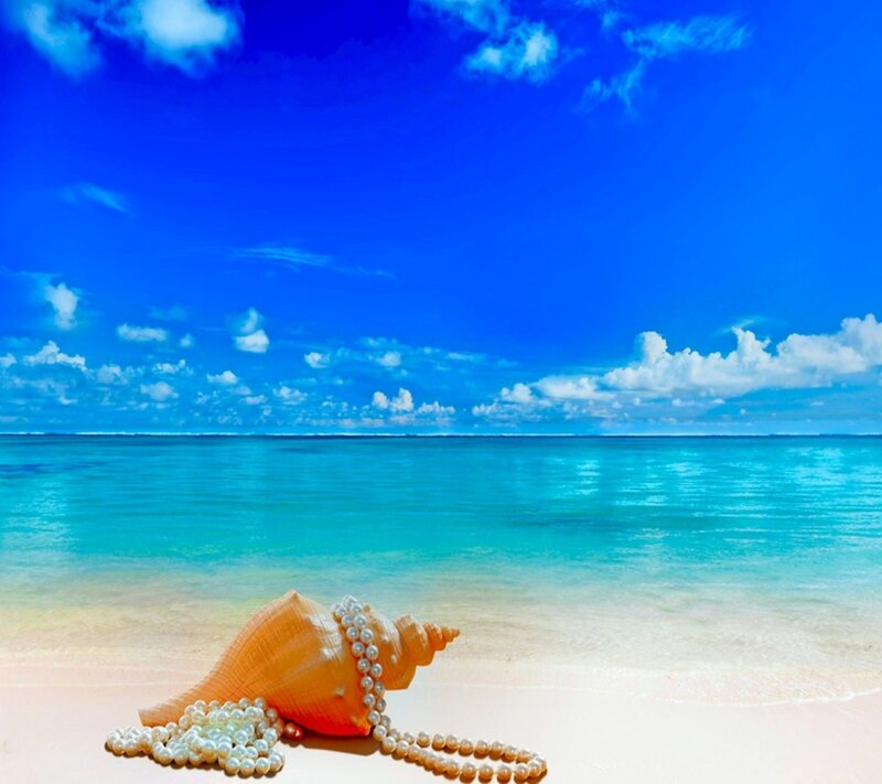 Seashell with Pearls — Blue