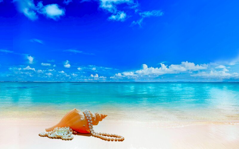 Seashell with Pearls