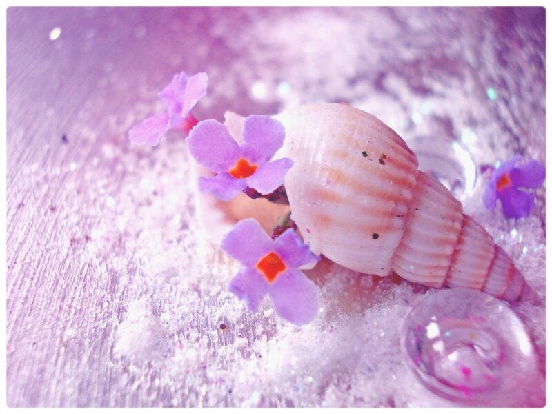 Seashell with Purple Flowers