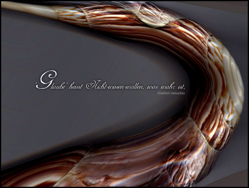 Seashell with quote