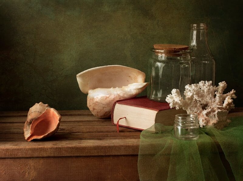 Seashells and Book on Table