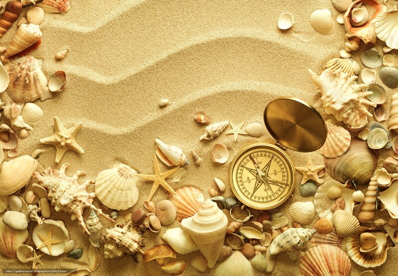 seashells and compass on sand