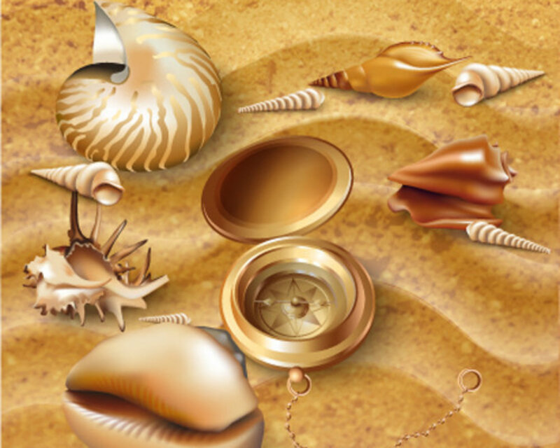 Seashells and Compass