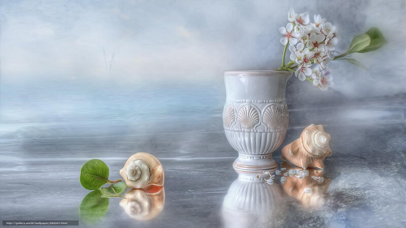 Seashells and flowers by the sea