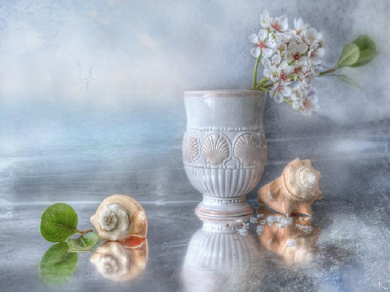 Seashells and flowers in a vase