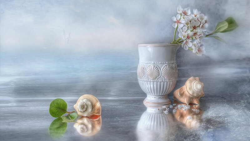 Seashells and Flowers
