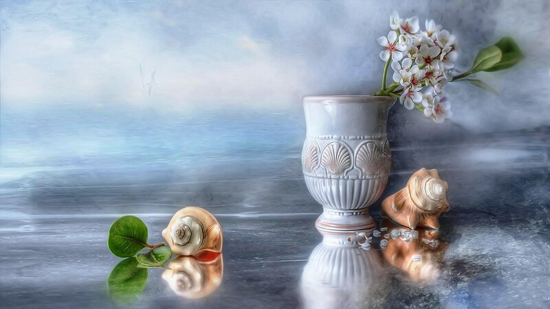 Seashells and Flowers — White, Serene