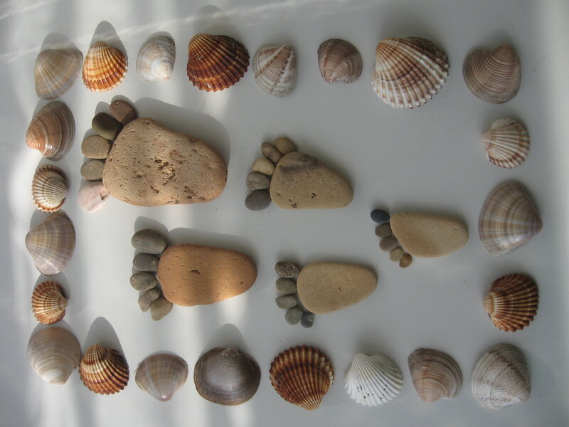 Seashells and Foot-shaped Stones
