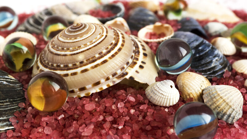 Seashells and Marbles — Red