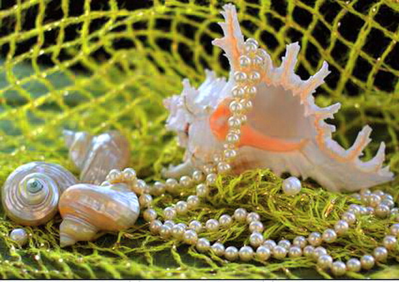 Seashells and Pearls