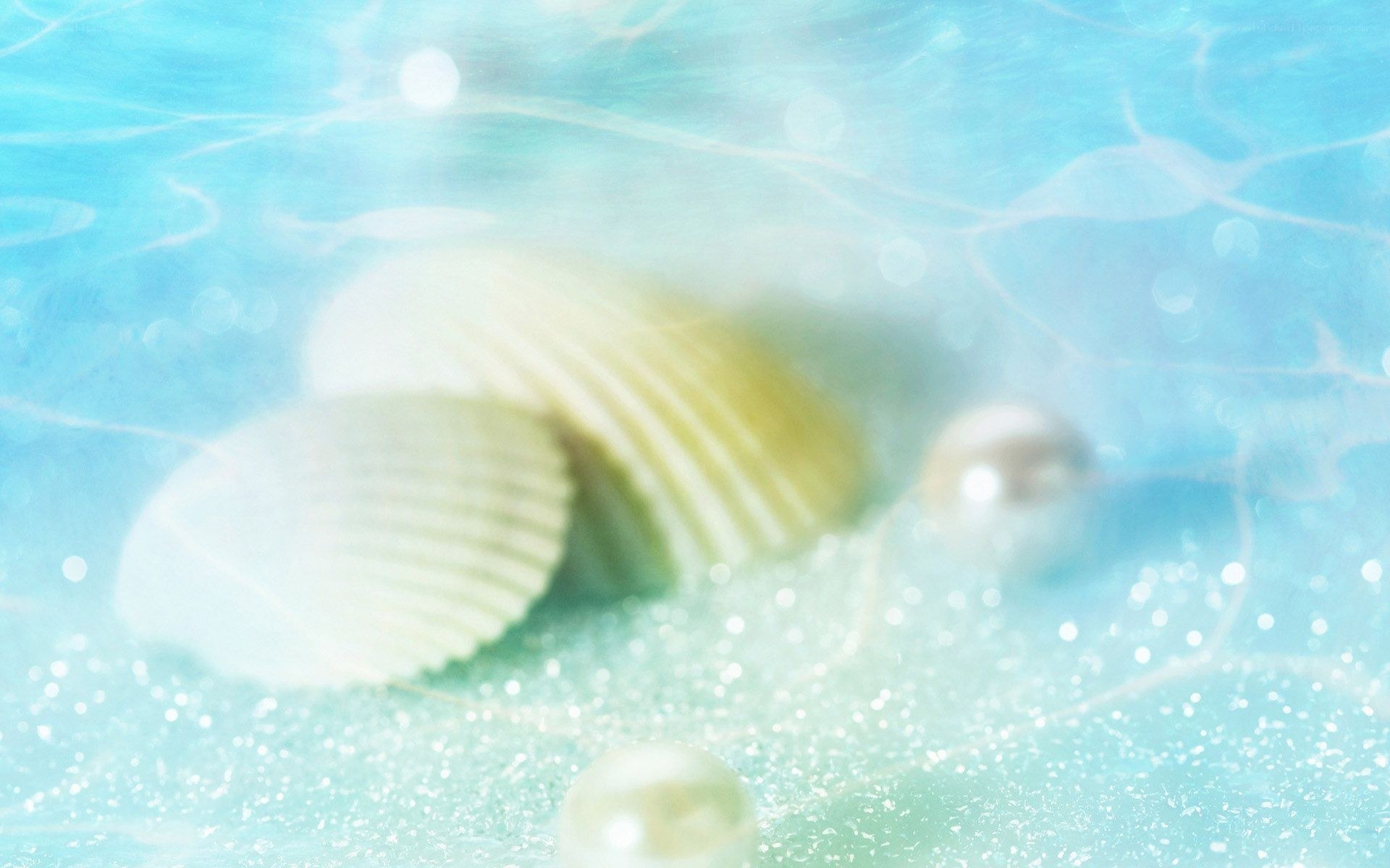 seashells and pearls underwater