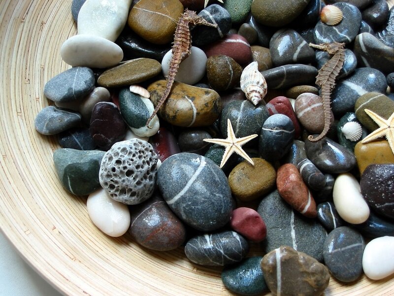 Seashells and Pebbles — Gray, Calm