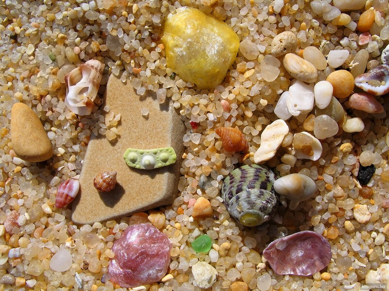 Seashells and Pebbles