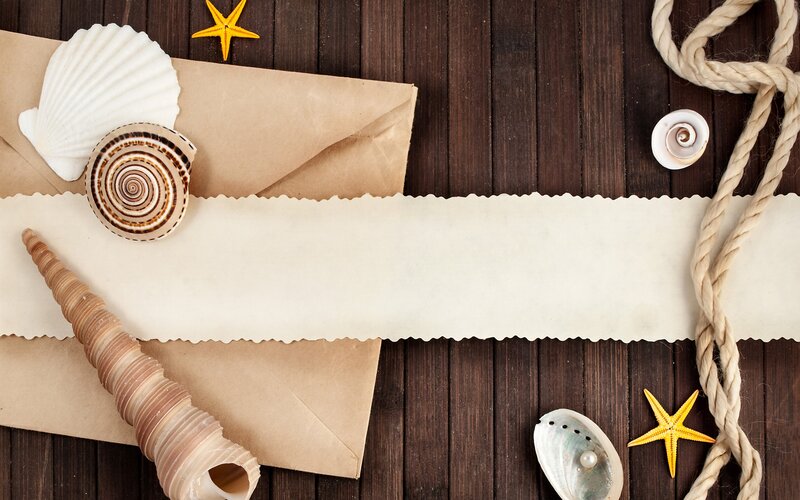 Seashells and Rope on Wood