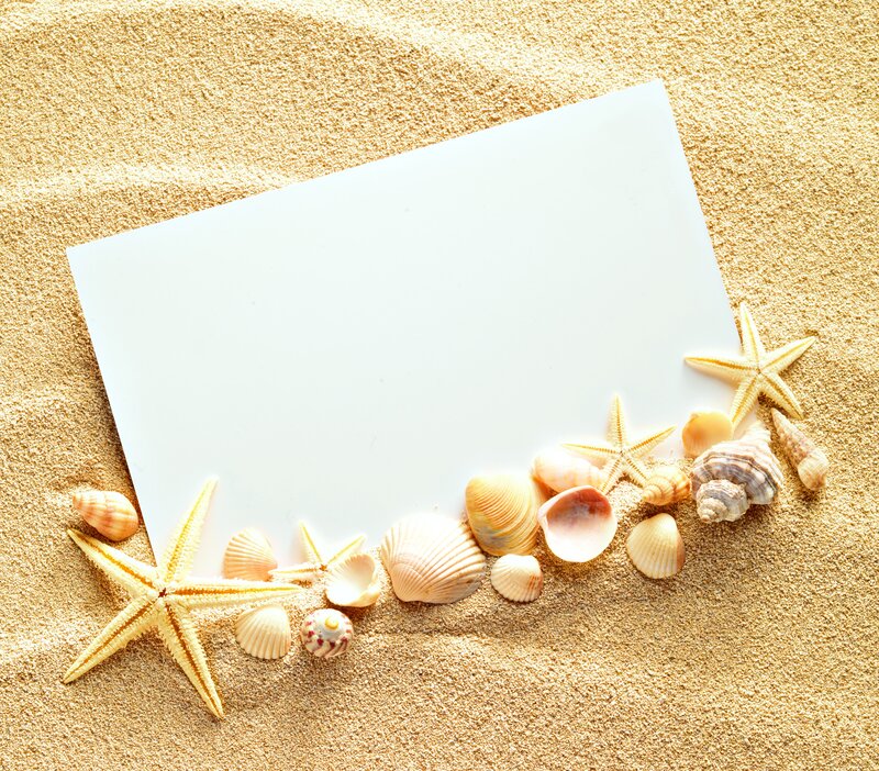 Seashells and Starfish — Beige, Serene, Afternoon, Photograph, Shells