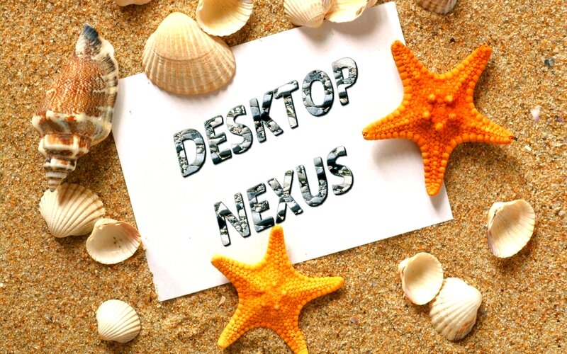 Seashells and Starfish — Beige, Serene, Photograph, Sand