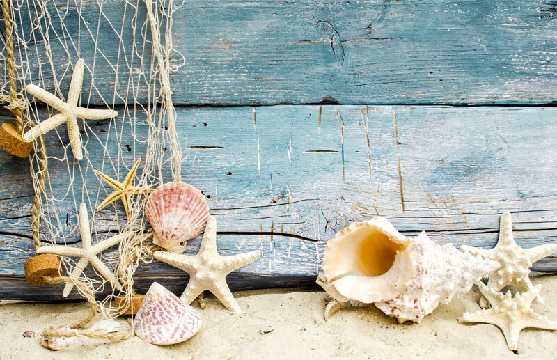 Seashells and Starfish — Blue, Calm, Photograph, Fishing Net, Sand