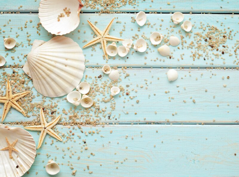 Seashells and Starfish — Blue, Calm, Photograph, Sand
