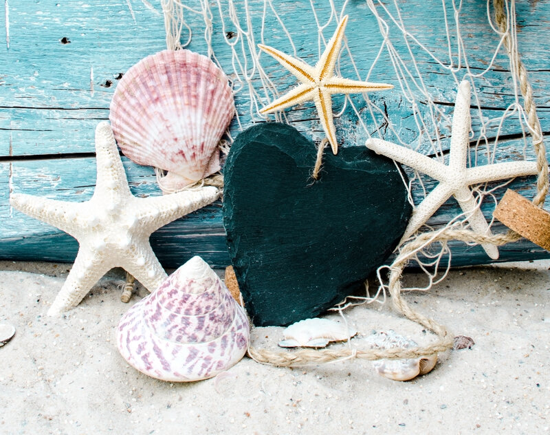 Seashells and Starfish — Blue, Calm, Photograph, Shell, Net, Heart