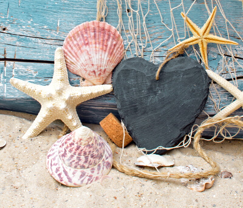 Seashells and Starfish — Blue, Calm, Photograph, Shell