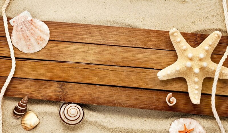Seashells and Starfish — Brown, Calm