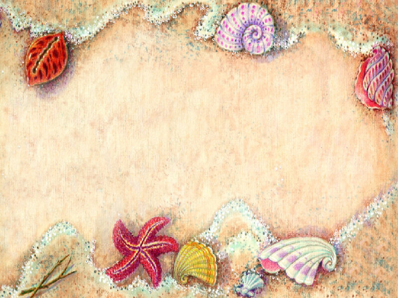 Seashells and Starfish on Sand — Beige, Calm