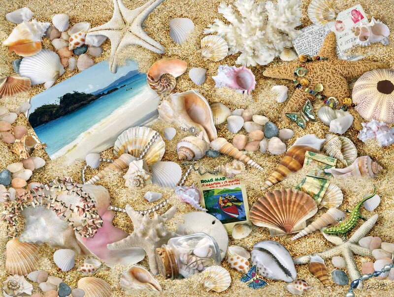 Seashells and Starfish on Sand — Beige, Serene, Afternoon, Photograph