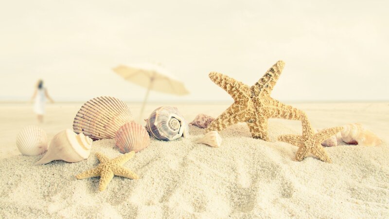 Seashells and Starfish on Sand — Beige, Serene, Afternoon