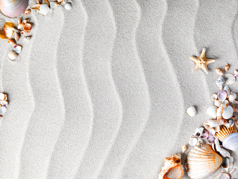 Seashells and Starfish on Sand — Beige, Serene, Photograph