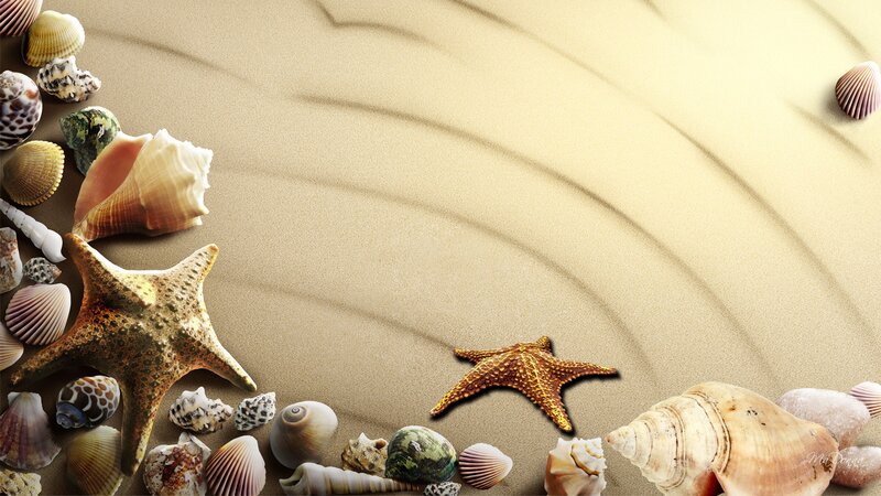 Seashells and Starfish on Sand — Beige, Serene