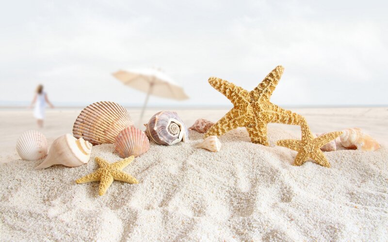 Seashells and Starfish on Sand — Beige