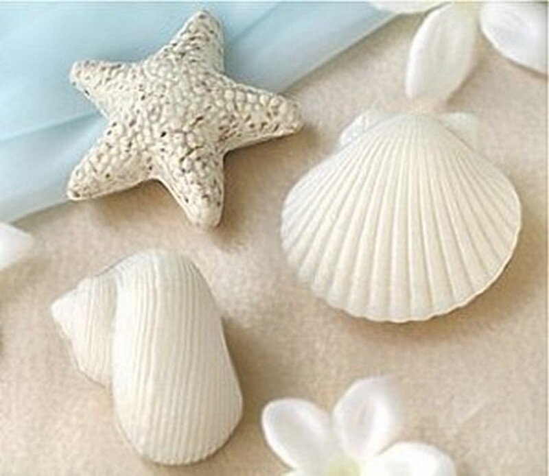 Seashells and Starfish — White, Serene