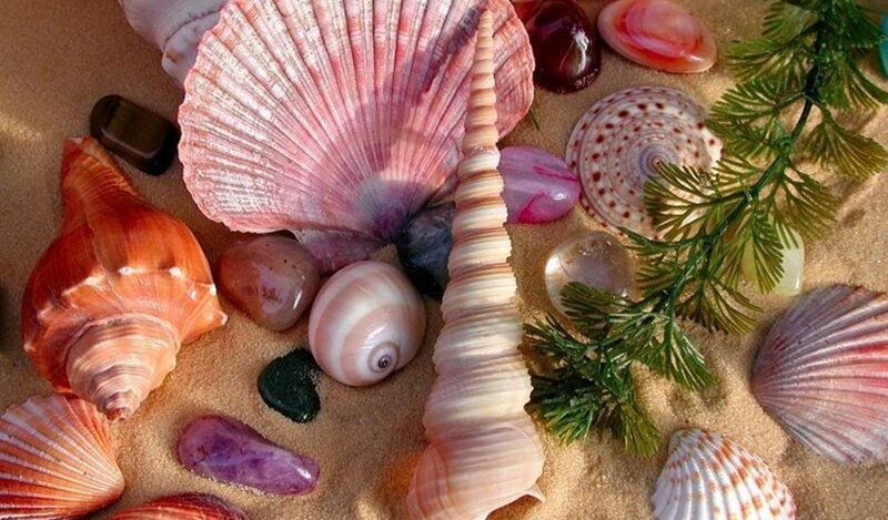 Seashells and Stones
