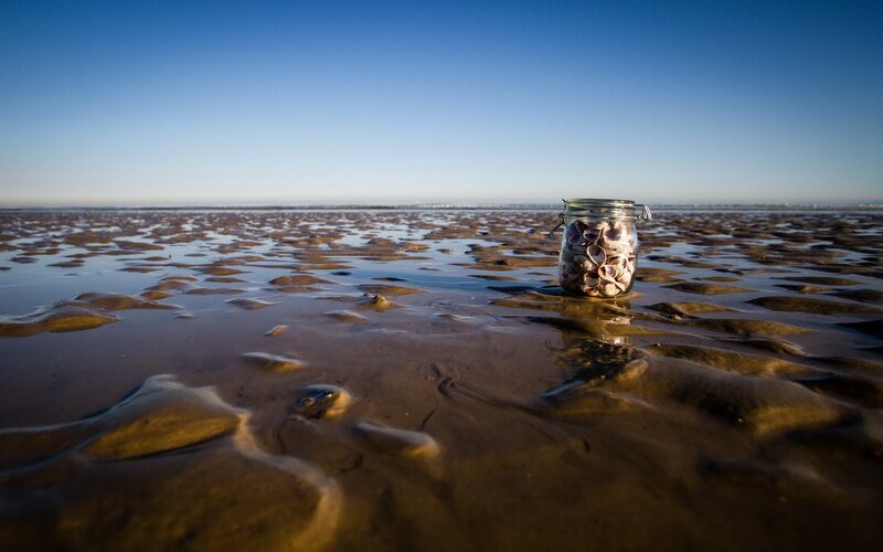 Seashells in a jar on the beach