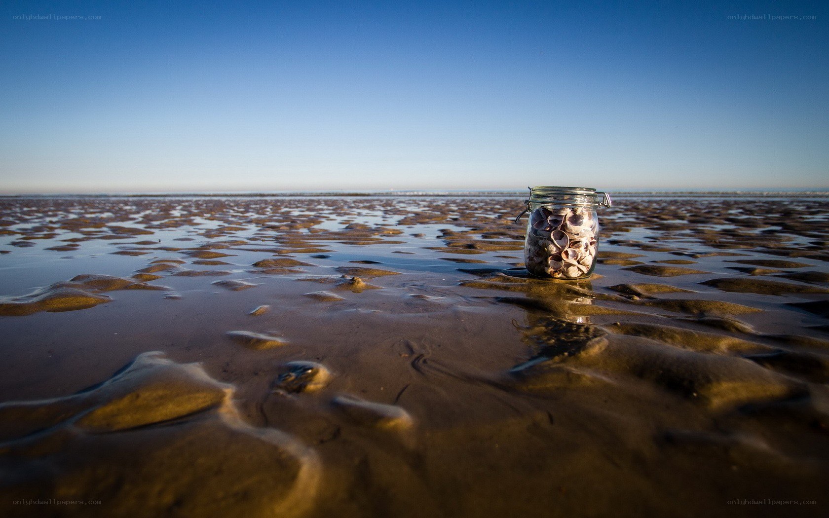 Seashells in a jar on the beach