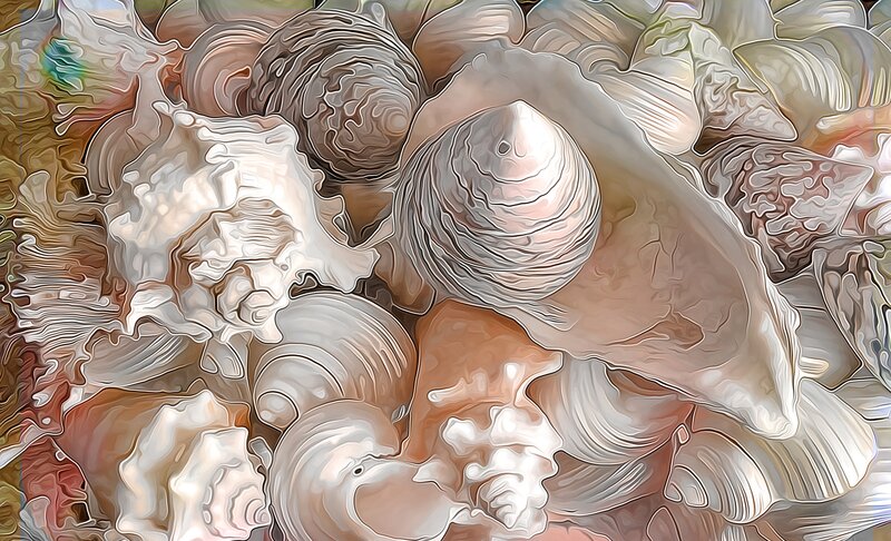 Seashells in a Pile — White