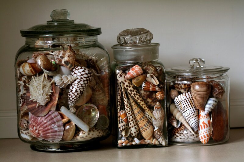 seashells in glass jars