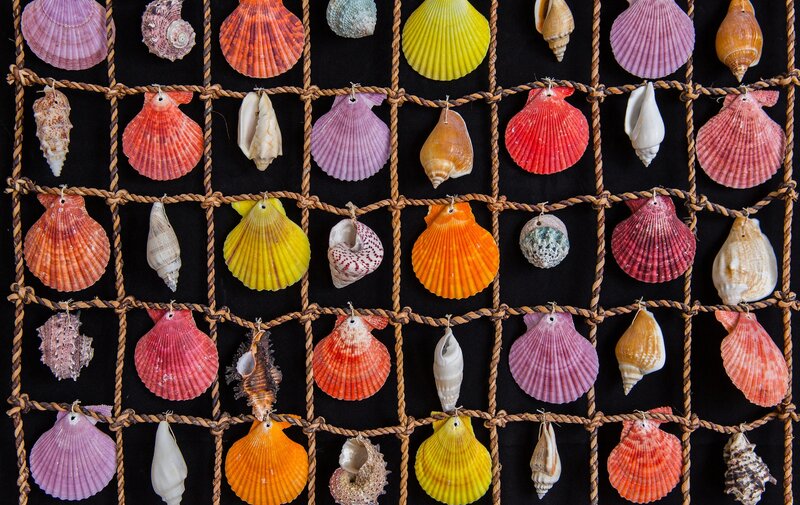 Seashells in Grid