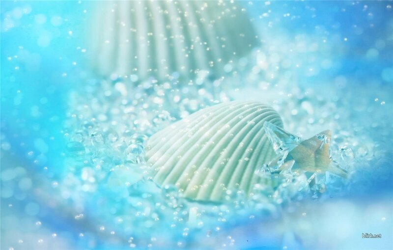 Seashells in underwater scene