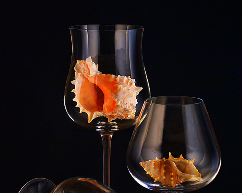 Seashells in Wine Glasses