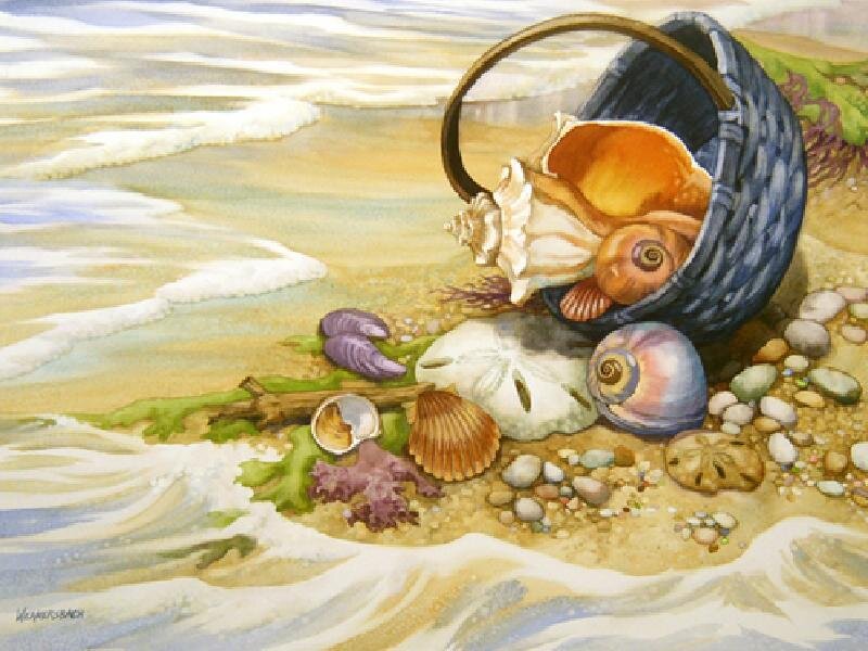 Seashells on a beach