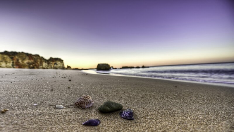 Seashells on a beach at dusk