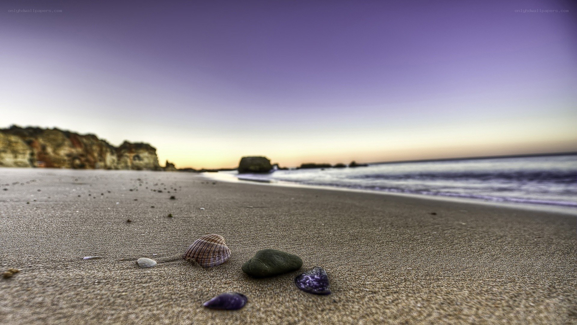 Seashells on a beach at dusk